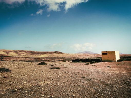 Five Tips for the (mild) Apocalypse